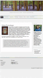 Mobile Screenshot of bridgetsimmerman.com